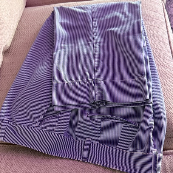 Talbots Sky Blue Ankle Pants - Picture 8 of 13